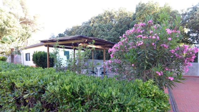 Room In Villa -Livorno - Montenero Dış mekan fotoğraf